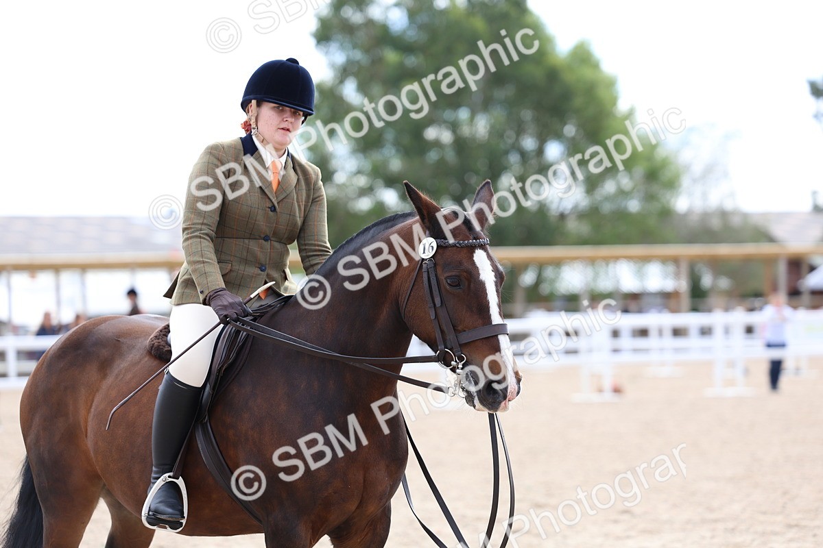 SBM_18355