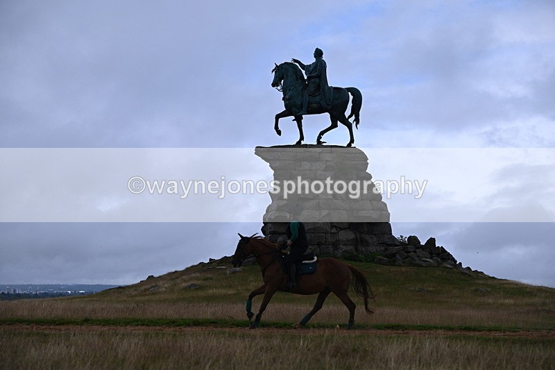 DSC_3761 - Time at Statue 13:51 to 14:55