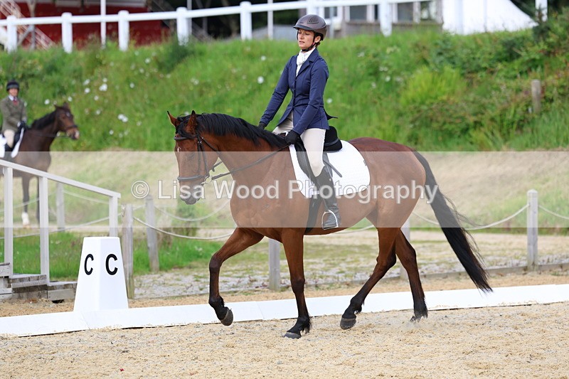 3E7A1575 - Class 2: Intro 2 2024 Section B