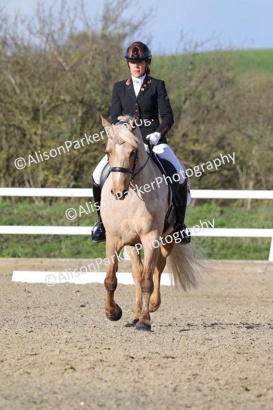 20260314-5797 - DR 7 - Elementary 1