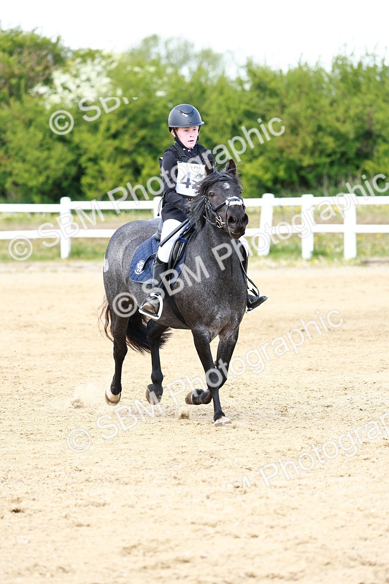 SBM_007839 - Class 3 - 60cm