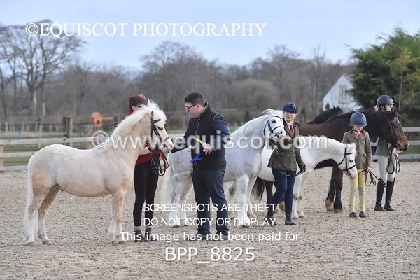 BPP_8825 - RING 2 - M&M