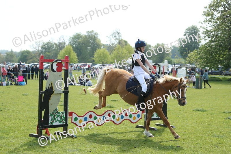 20260426-1619 - Class 14 - Novice 60cm