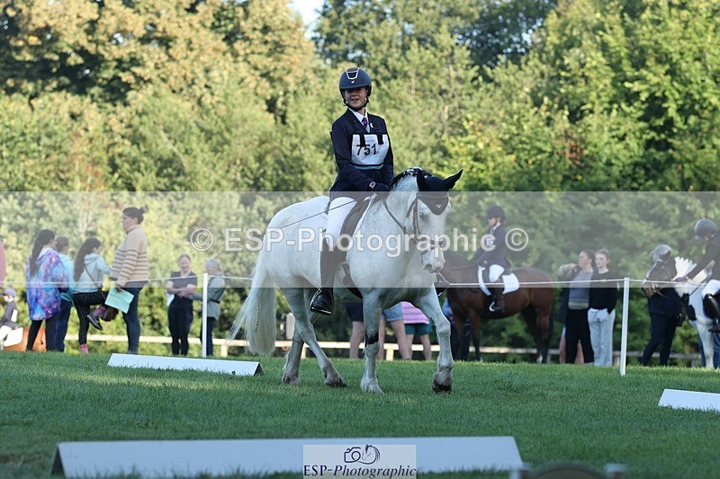 250823A-083234-25718 - Arena D