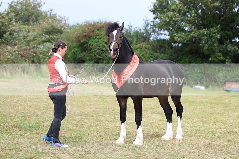 3E7A5765 - In Hand Championship