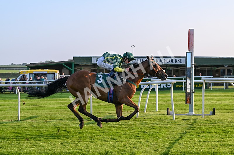 310524-Race 3-Lord Torranaga-8685