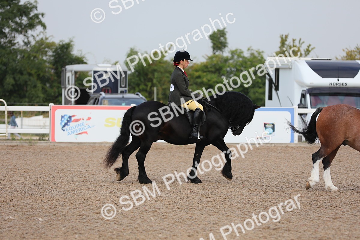 SBM_09969 - Class 302 Ridden M&M -Large Breeds