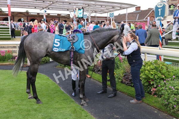 yr23072022r6-47 - Race 6 5.00pm Sky Bet Partnership with Support Dogs Stakes