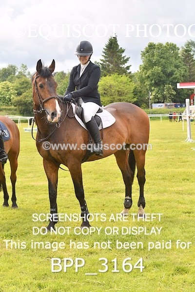 BPP_3164 - CLASS 2 SENIOR FOX/1.20M OPEN