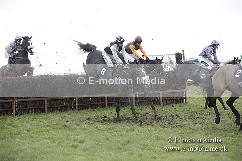 PtP 150320 0489 - New Forest Point-to-Point Larkhill 15/03/20