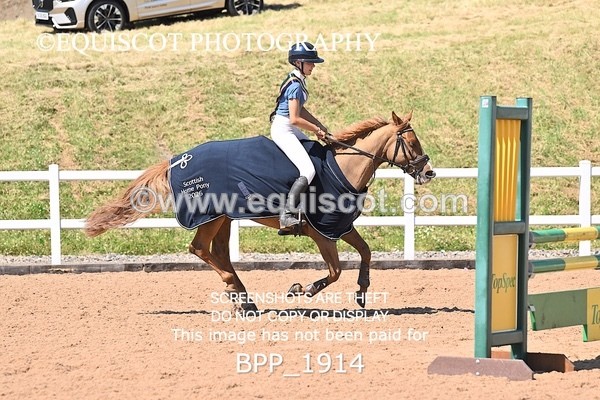 BPP_1914 - THU CLASS 3 Scottish Branch North West Junior Championship **Viewing/Selection class for 148 teams**