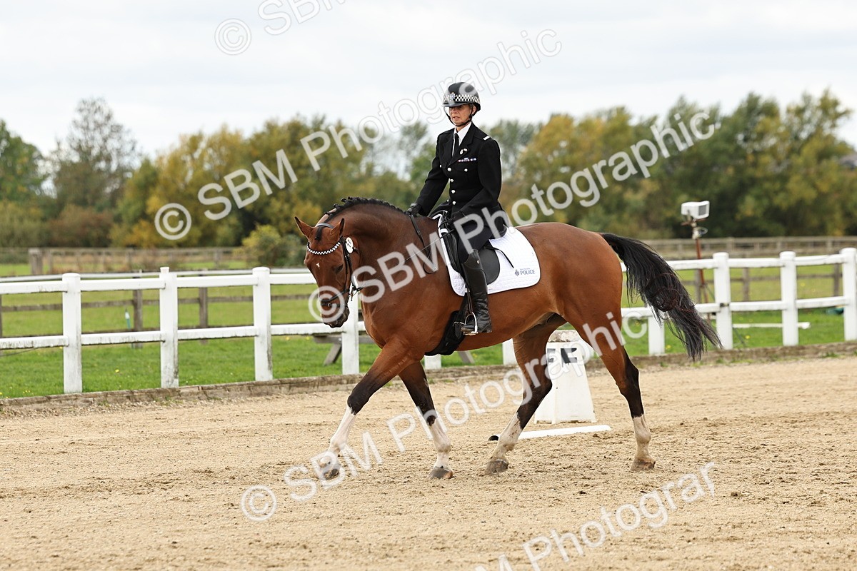 SBM_004507 - Class 69 - Novice 2