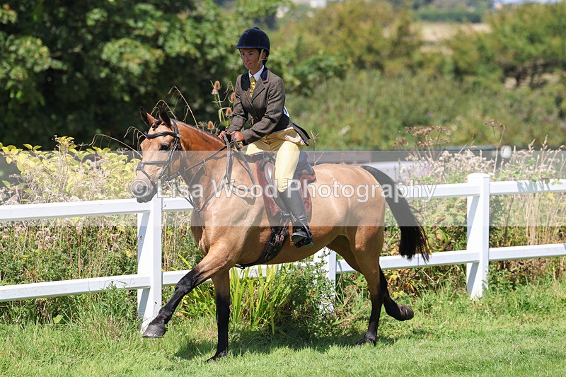 3E7A9006 - Class 6: Open Working Horse