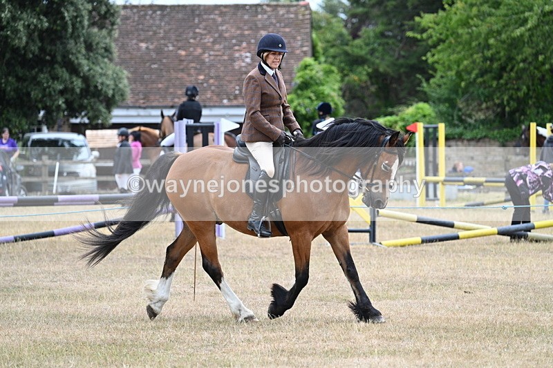 WJ7_0526 - Class 6 Ridden Mountain and Moorland