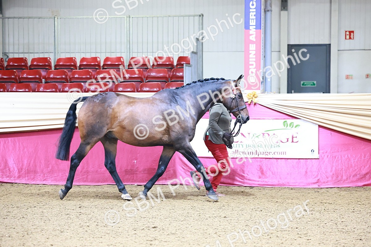 SBM_21643 - Class 901 - Supreme Final - IH  Diamond