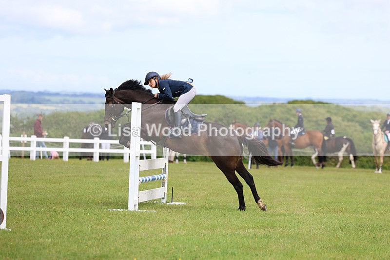 3E7A7606 - Class 13: Senior British Novice/90cm open