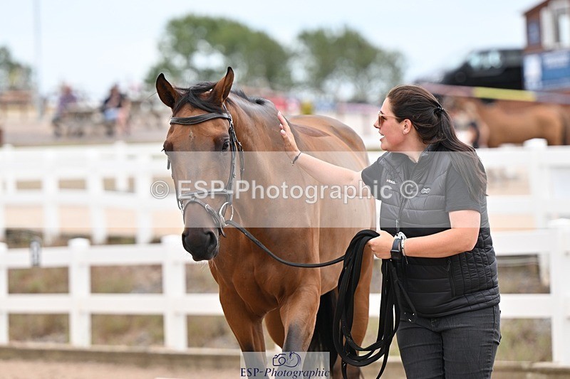 250716-160226-02353 - Trot Up 3.30 to 4.30