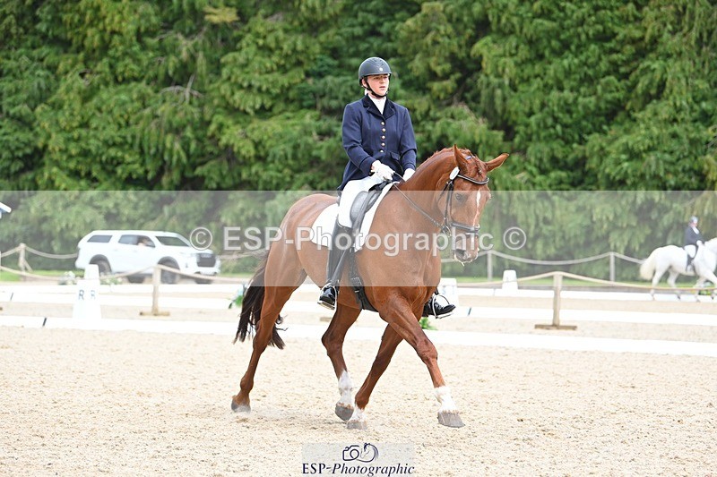 230813-135509-07645 - Cls 13 Medium Bronze 13.15 to End