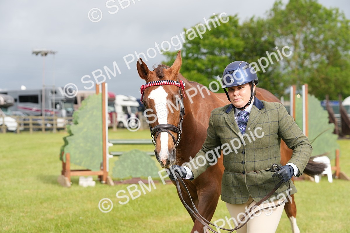 SBM_10633 - Class 97-98 - LIHS BSHA Rising Star Working Show Horse Hunter