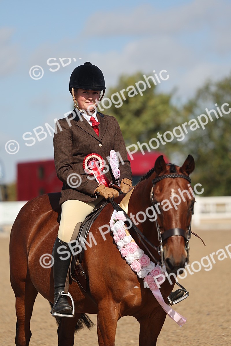SBM_22636 - Class 804 - Ridden Veteran Pony