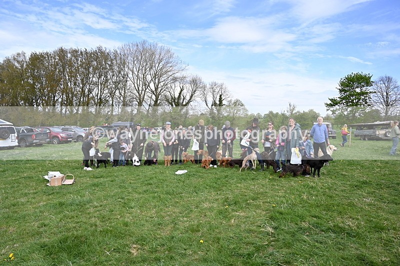 WJ6_9162 - Class 8 Best Working / Gun Dog or Bitch