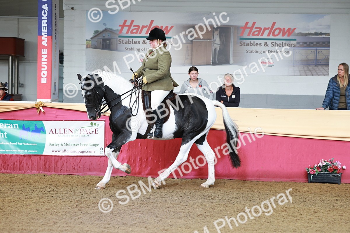 SBM_11854 - Class 102 - Equitation (Best Rider) Adult