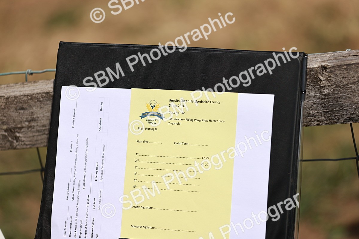 SBM_05555 - Class 41-45 - Riding Pony-Hunter Pony Breeding