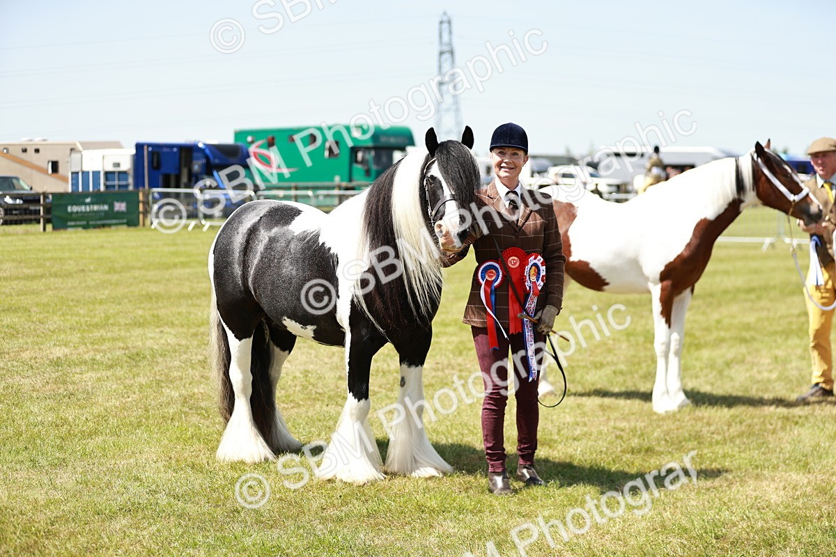 SBM_05530 - Class 41-45 - Riding Pony-Hunter Pony Breeding