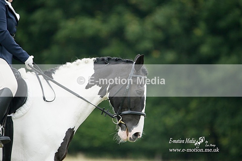 BVRC 030721 303 - Bourne Valley Riding Club Dressage 03/07/21