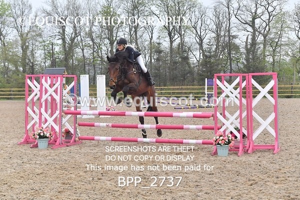 BPP_2737 - CLASS 4 Senior British Novice/ 90cm Open