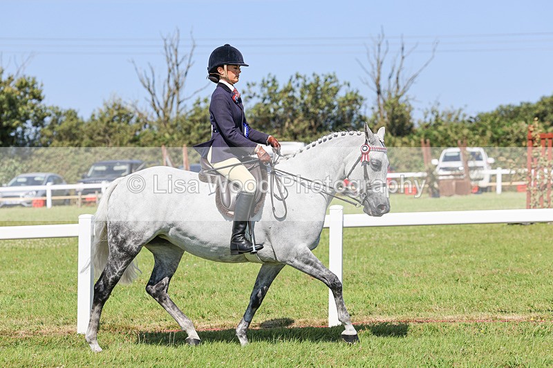 IMG_1984 - Class 33: Show Pony 148cm and under