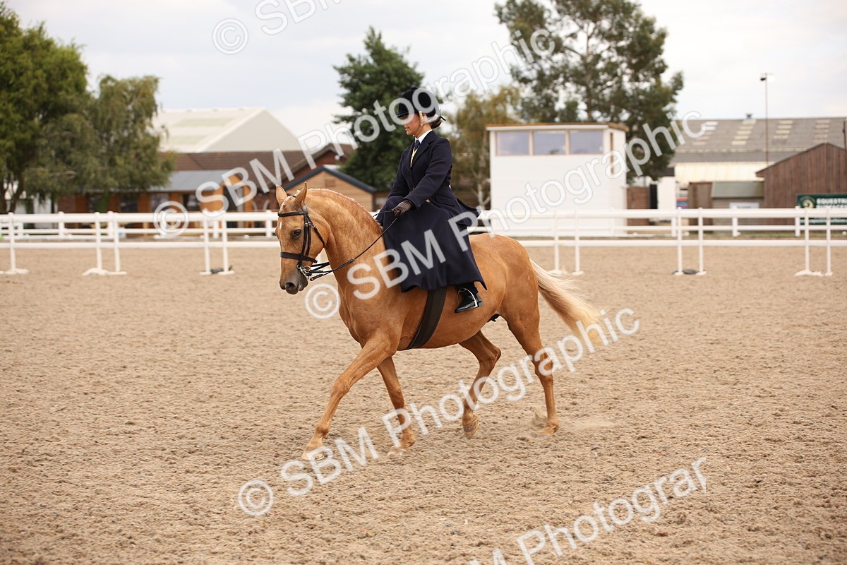 SBM_05433 - Class 22 SSA Equitation