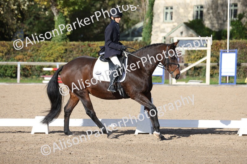 20251101-0630 - Class 5 - Novice 3