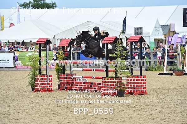 BPP_0559 - RHS 2019 Selection - *Just some random spectator shots so Lucky Dip if you are there!