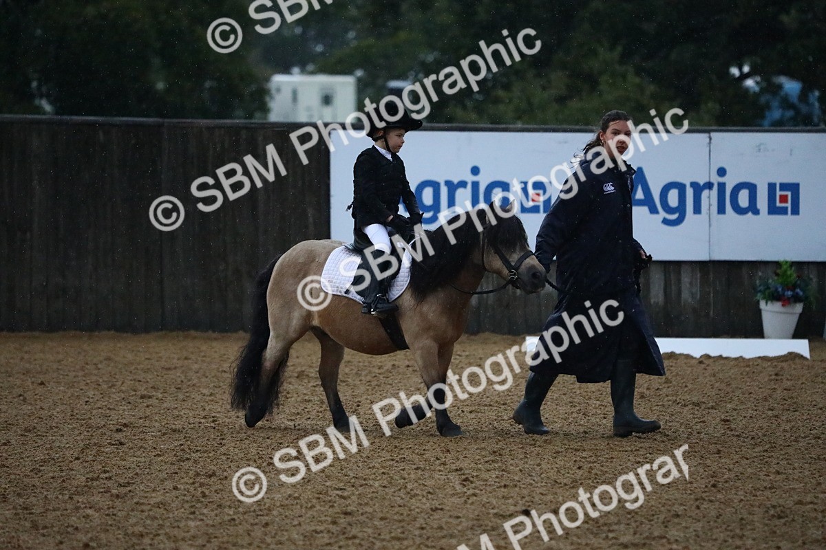SBM_34589 - D26 - Starters Lead Rein