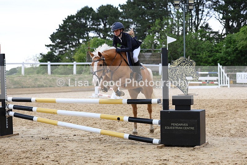 3E7A8499 - Class 13: Pony Discovery/90cm open