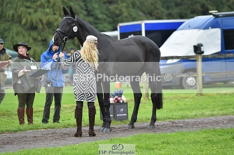 231018-124300-00471 - 056-WILLOW.BDA-Lisa.Maynard-TrotUp