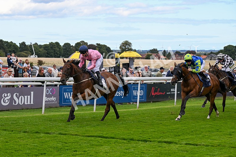 160926-Race 1-Austrian Theory-9166 - Race 1 2.08pm Season Finale Is Next Tuesday Selling Handicap