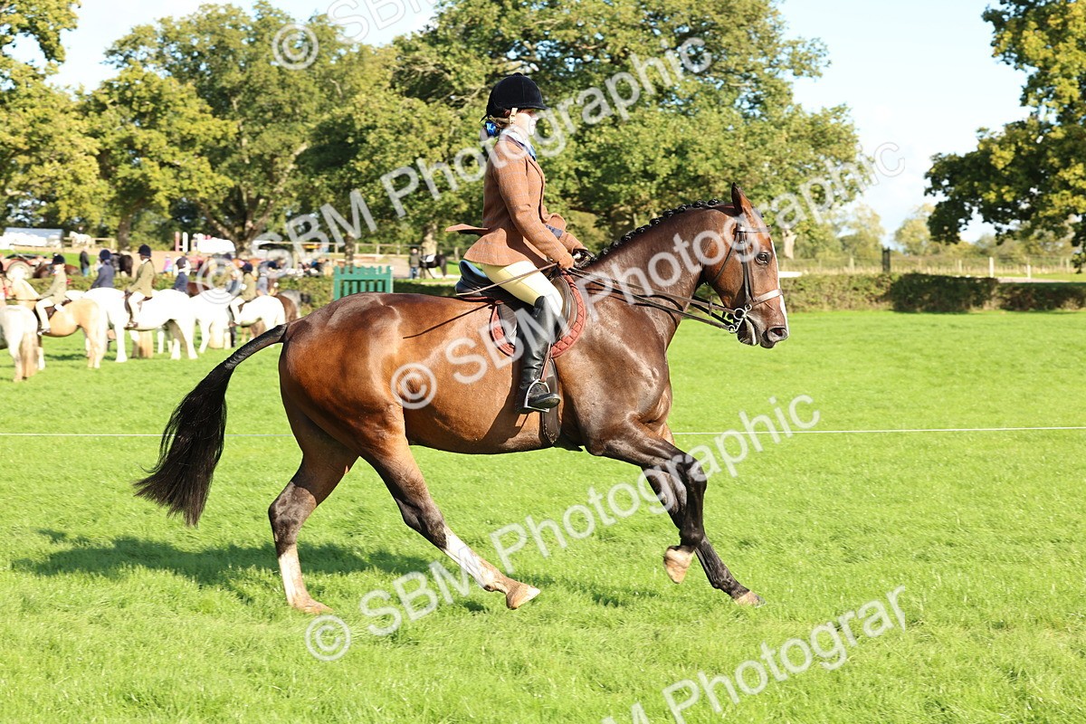 SBM_50119 - S34 - Novice & Newcomers Working Hunter