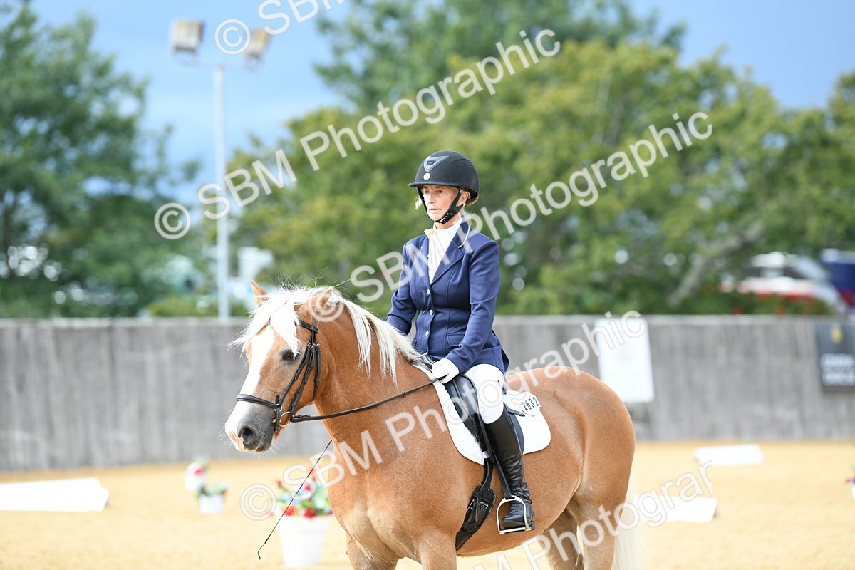 SBM_10900 - D28 Elementary Taster Elementary 42