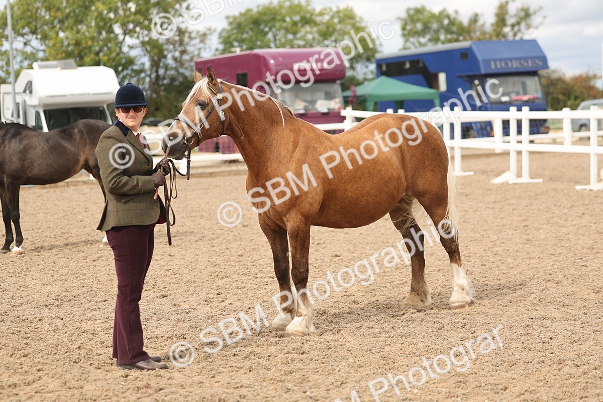 SBM_05031 - Class 20 - IH Veteran