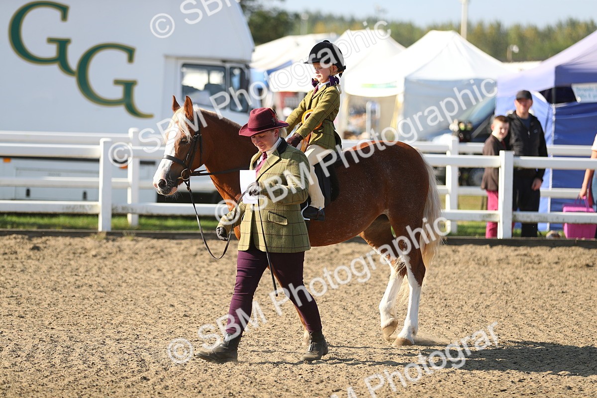 SBM_00501 - Class 41 Best Turned Out Ridden