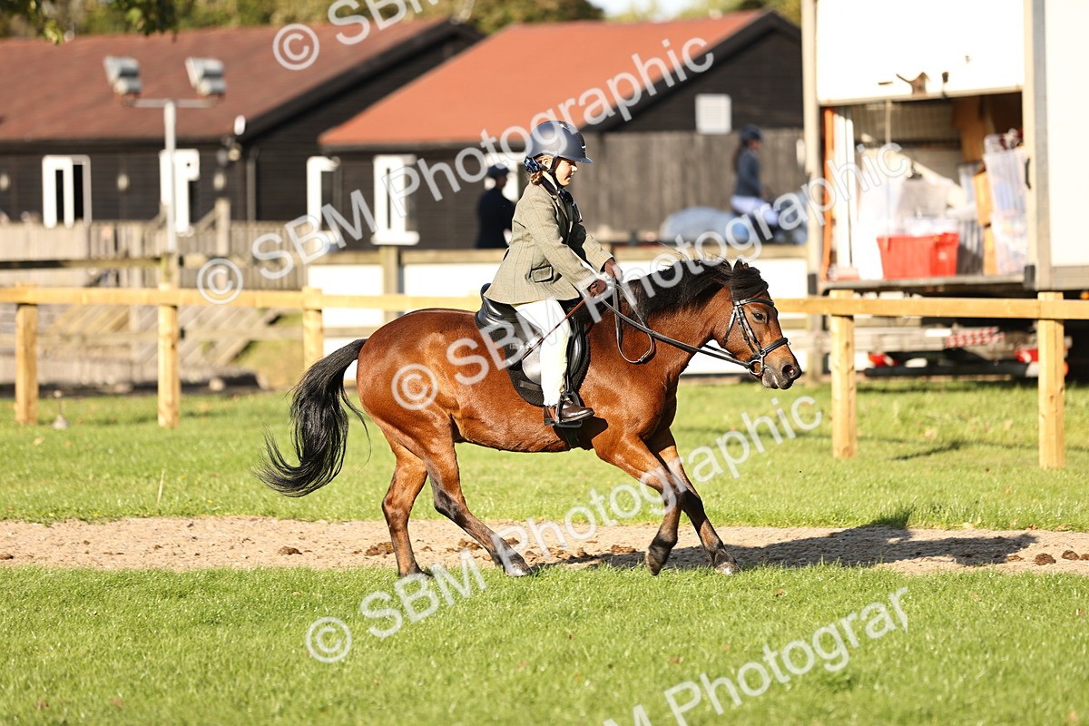 SBM_29436 - S7 - Novice & Newcomers Ridden Pony