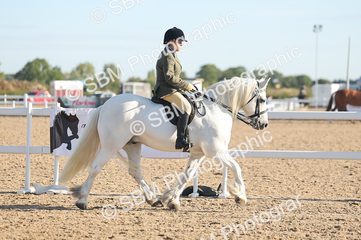 SBM_10965 - Class 302 - Ridden M&M Large Breeds