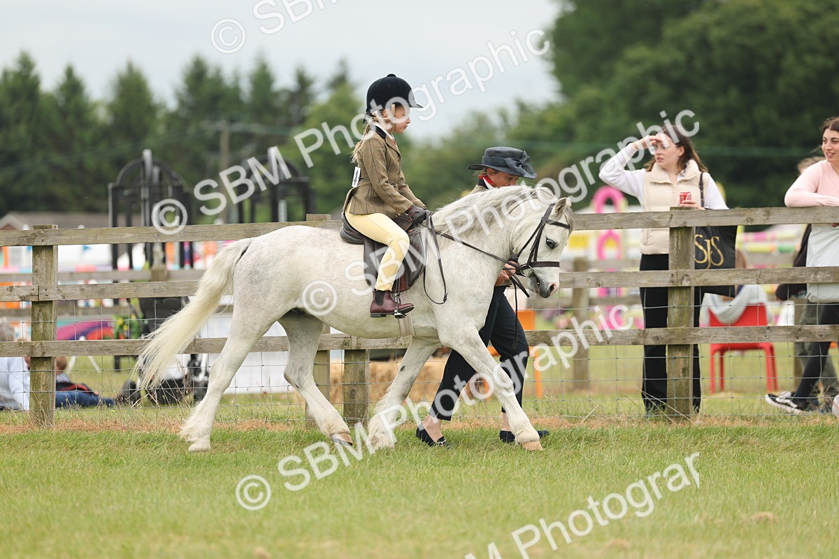 SBM_06736 - Class 74-75 - M&M Lead Rein and First Ridden Pony