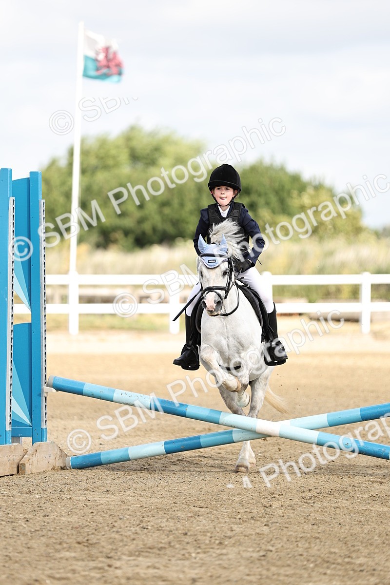 SBM_003265 - 40cm showjumping