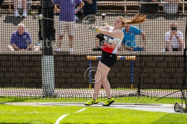 SIAB23-912974 - Field Female Set One