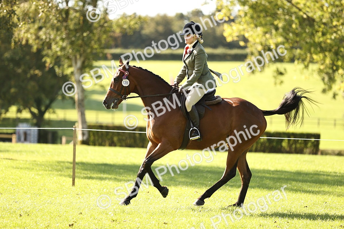 SBM_16966 - S2 - TSR Ridden Pony Showing