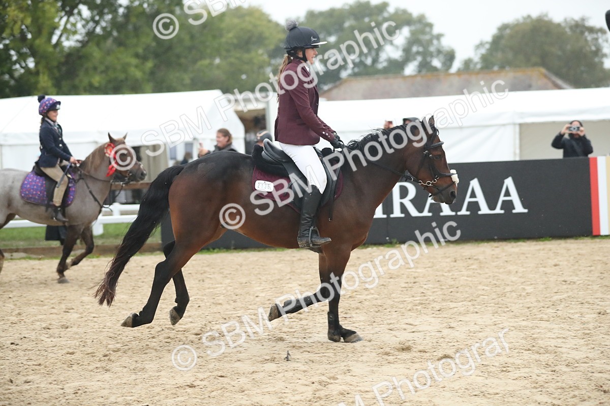 SBM_74349 - Supreme championship Junior Pony 70cm 75cm