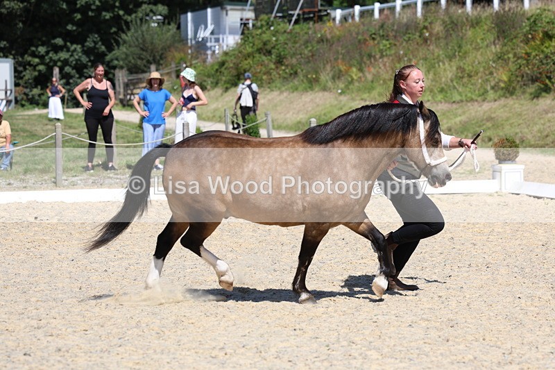 3E7A9565 - Class 32: Best Grass Kept